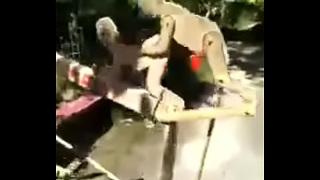[Bokep, Indonesia, Indonesia Ngentot] Indonesia Ngentot Desahan Porno