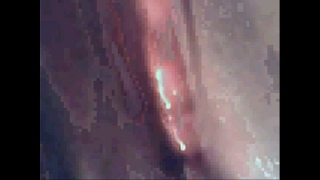 [YouPorn, Videos Free, Top] Wendy Hot Pussy Wanna This Monster Cock Inside 3D Porn Animation